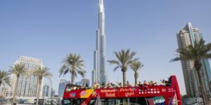 Hop On Hop Off City Sightsceen