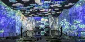 Theatre of Digital Arts