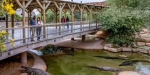 Dubai Crocodile Park