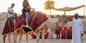 Desert Safari Private and Sharing (Standard, Deluxe & Premium)