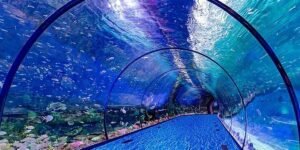 National Aquarium AUH