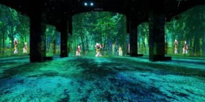 Infinity Des Lumieres